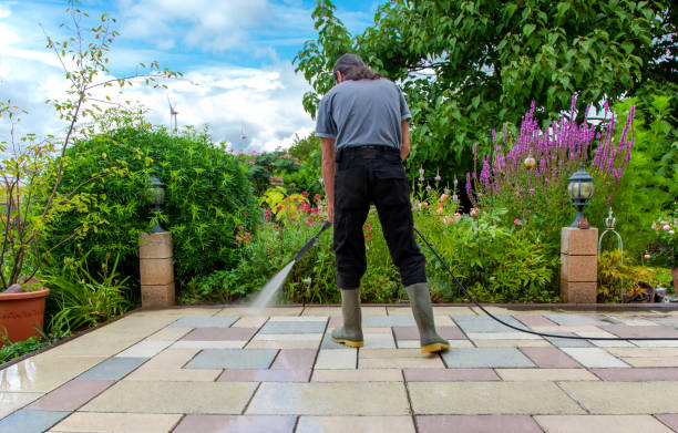 Animal Enclosure Cleaning in Windsor, PA